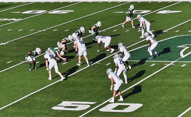 这不仅提高 这不仅提高